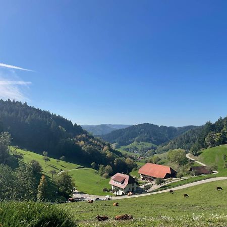Apartament Schwarzwaldmädel Hausach Zewnętrze zdjęcie