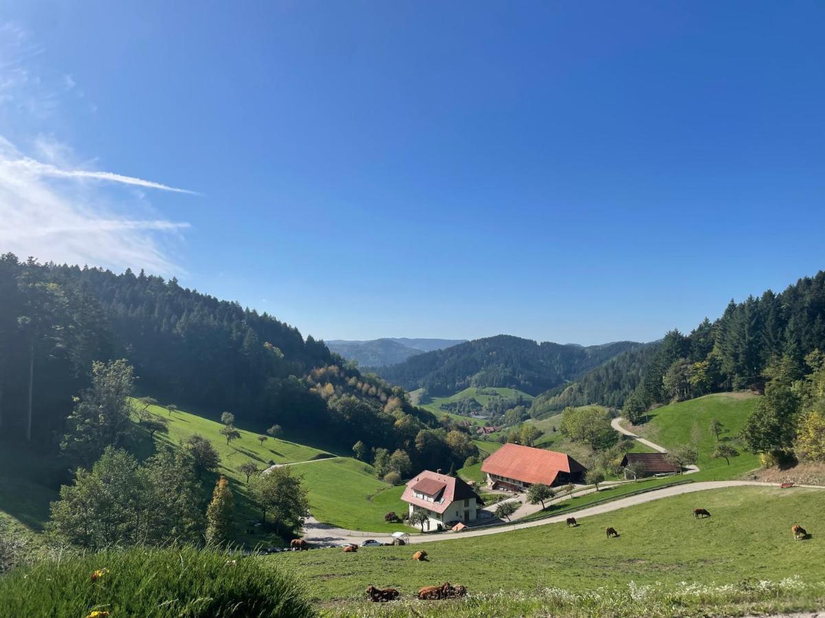 Apartament Schwarzwaldmädel Hausach Zewnętrze zdjęcie